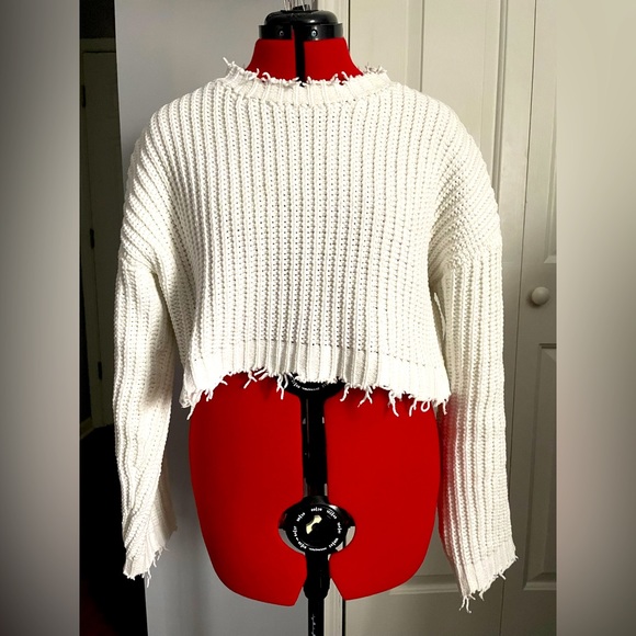 Crop Sweater from Forever 21 - Picture 1 of 3